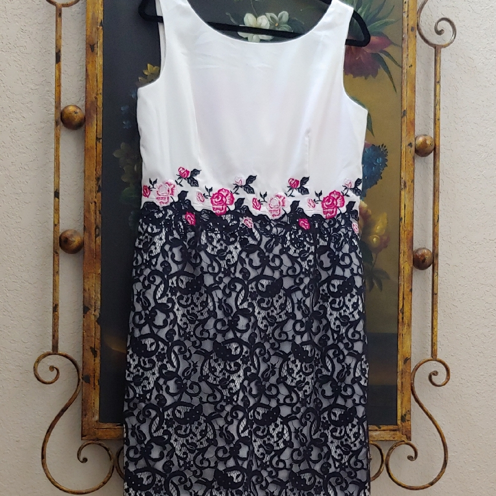 Like New Antonio Melani Embroidered Lace Dress